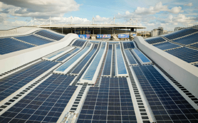 Réduire son empreinte carbone : 5 solutions pour les entreprises